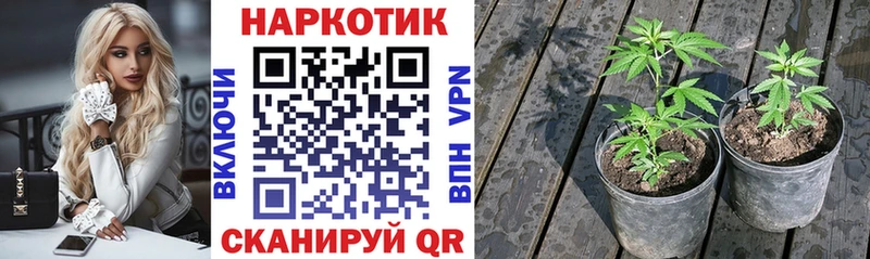  Кокаин Волжский