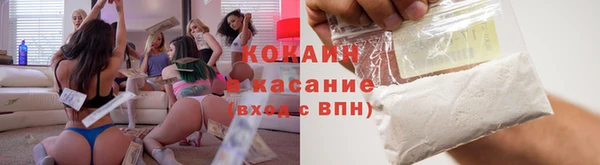 ешки Алексин