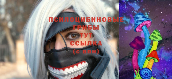 ешки Алексин