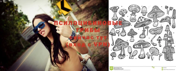 круглые Алексеевка